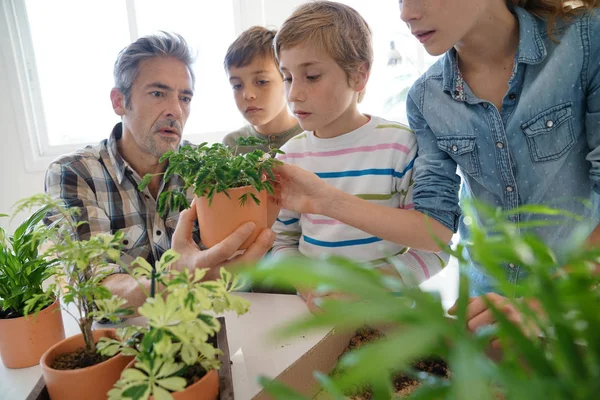 Professeur avec des enfants sur les clas de biologie — Photo