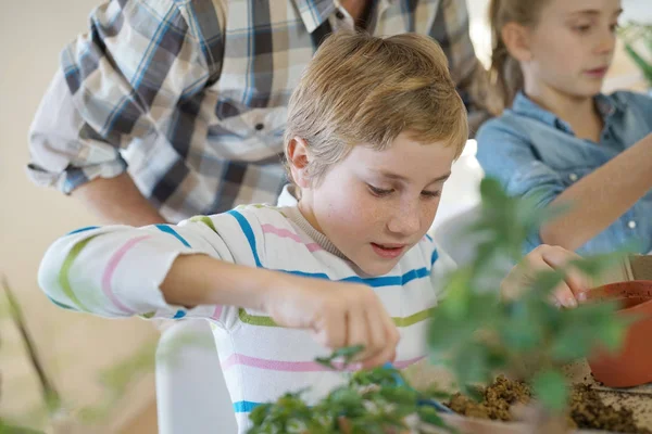 Menino Escola Aula Biologia Aprendendo Sobre Planta — Fotografia de Stock