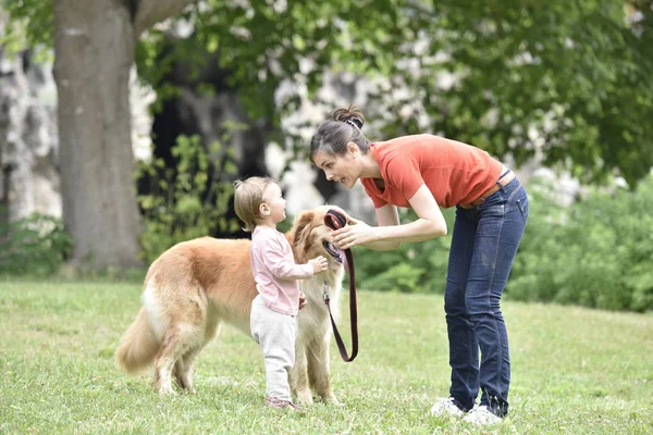 Женщина и девочка гуляют с собакой — стоковое фото