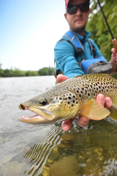 Fluga-fisherman anläggning öring — Stockfoto