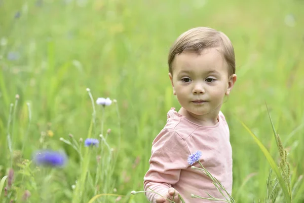 Lány játék vad virág mező — Stock Fotó