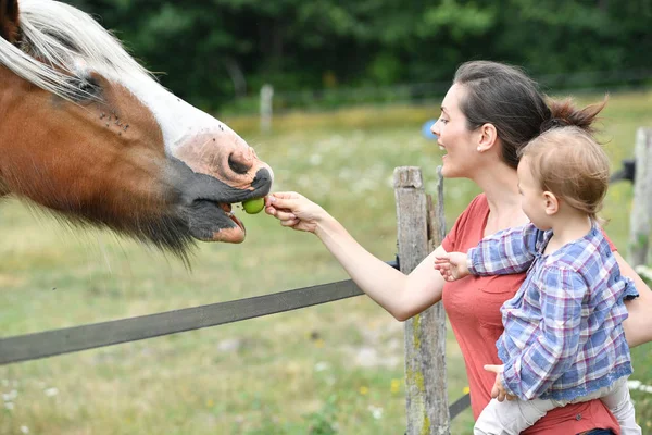 Мать с маленькой девочкой кормит лошадь — стоковое фото