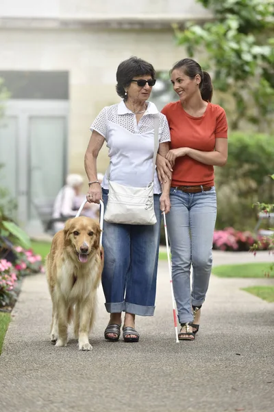 Blinde Seniorin geht mit Hilfe — Stockfoto