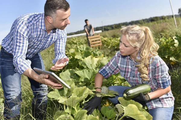Pessoas com instrutor no campo agrícola — Fotografia de Stock