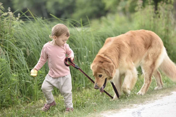 Bebé niña dando un paseo a perro — Foto de Stock