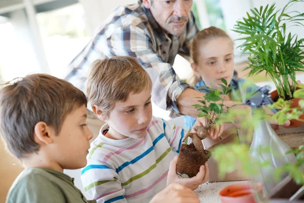 Professeur avec des enfants sur les clas de biologie — Photo