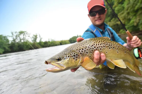 Vlieg-fisherman bedrijf bruine forel — Stockfoto