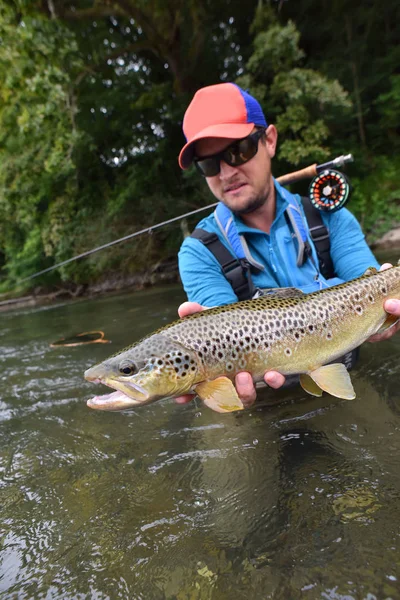 Vlieg-fisherman bedrijf bruine forel — Stockfoto