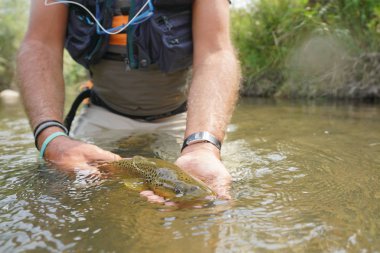  balıkçı tarafından yakalanmış olmanın alabalık fly