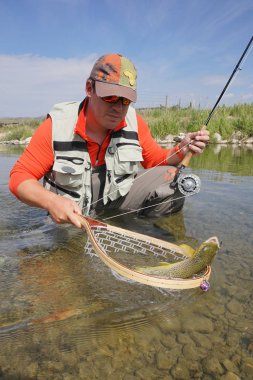 Sinek balıkçı kahverengi alabalık yakalama