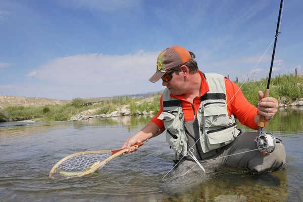Sinek balıkçı kahverengi alabalık yakalama