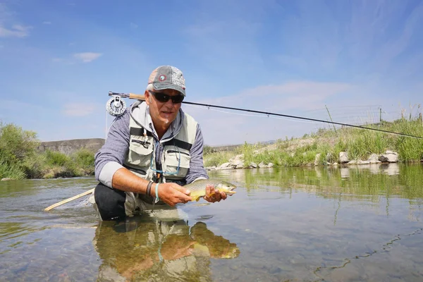 Fly fisherman   catching brown trout