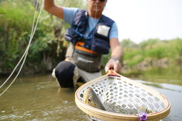 Pêcheur attrapant la truite brune — Photo