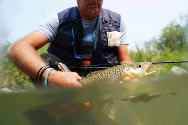 Pêcheur attrapant la truite brune — Photo