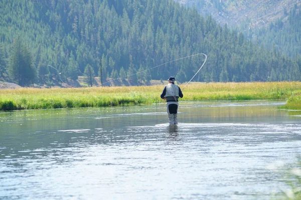 Fly-fisherman fishing in Madison river — Stock Photo, Image