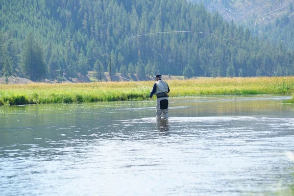 Pesca con mosca en el río Madison —  Fotos de Stock