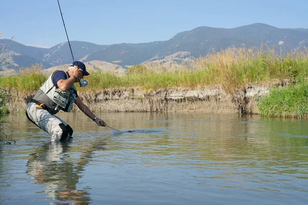 Рыбак ловит коричневую форель — стоковое фото