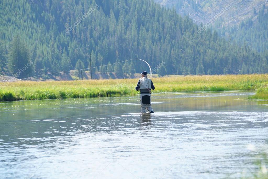 Fly-fisherman fishing in Madison river