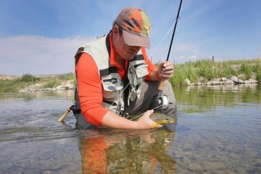 Sinek balıkçı kahverengi alabalık yakalama