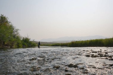 balıkçı balıkçılık fly 