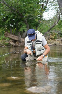 balıkçı kahverengi alabalık serbest bırakmak çalışıyor