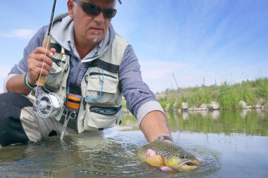 Sinek balıkçı kahverengi alabalık yakalama