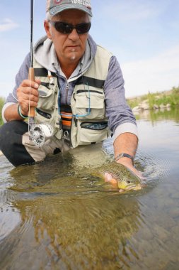 Sinek balıkçı kahverengi alabalık yakalama