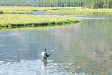 Madison river sinek balıkçı balıkçılık