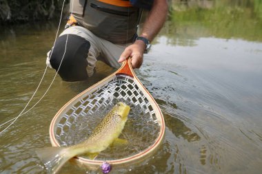 Kahverengi alabalık yakalamak balıkçı