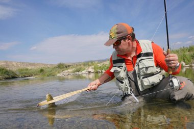 Sinek balıkçı kahverengi alabalık yakalama