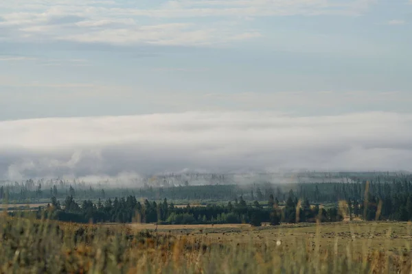 Het Nationaalpark Yellowstone — Stockfoto