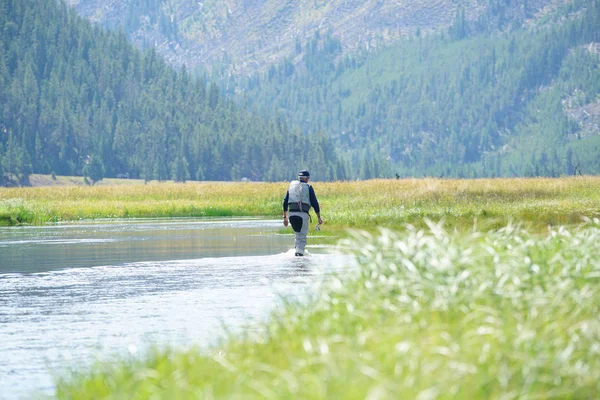 Pesca con mosca en el río Madison — Foto de Stock