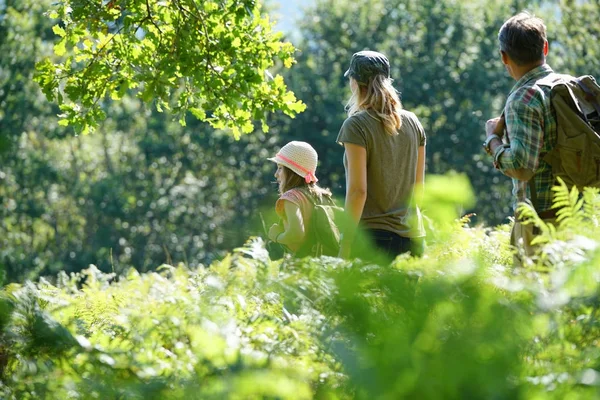 Famiglia in un giorno di vagabondaggio — Foto Stock