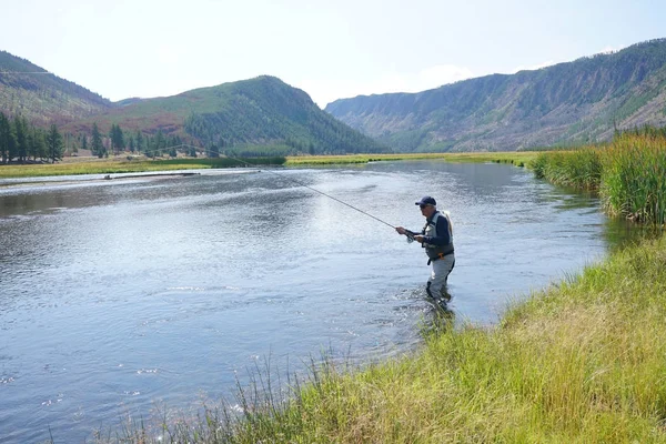 Fliegenfischer angelt im Madison River — Stockfoto