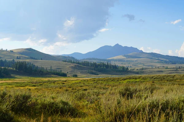 Parque Nacional Yellowstone Estados Unidos Naturaleza Viajes — Foto de Stock