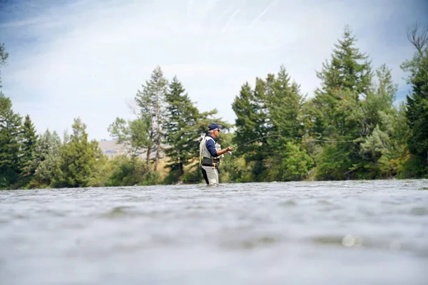 Рыбак-муха на реке Галлатин — стоковое фото