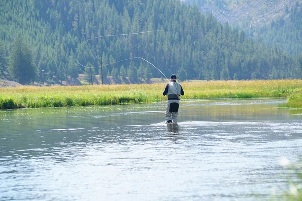 Pesca a mosca nel fiume Madison — Foto Stock