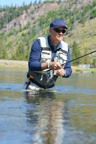 Pesca con mosca en el río Madison — Foto de Stock