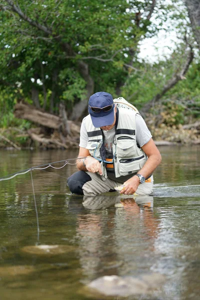 Pescador tratando de liberar trucha marrón — Foto de Stock