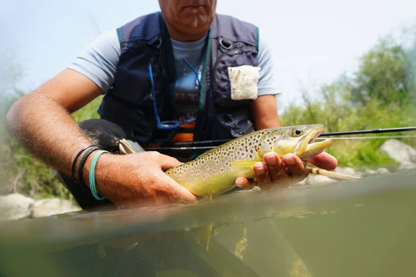 Pêcheur attrapant la truite brune — Photo