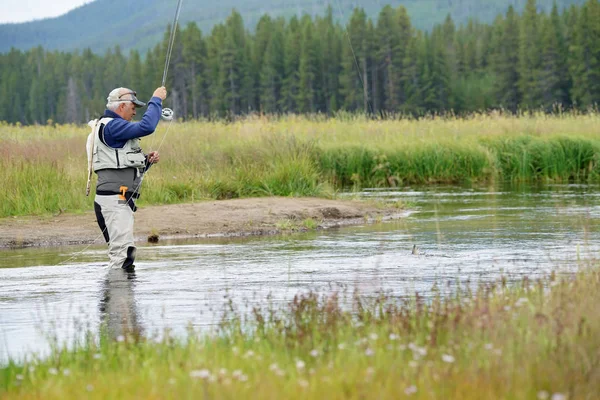 Pesca con mosca en el río Gallatin — Foto de Stock