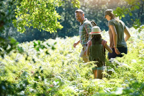 Famiglia in un giorno di vagabondaggio — Foto Stock