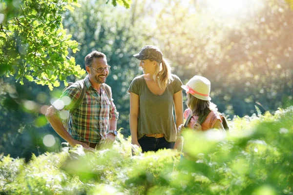 Familie op een kruipend dag — Stockfoto