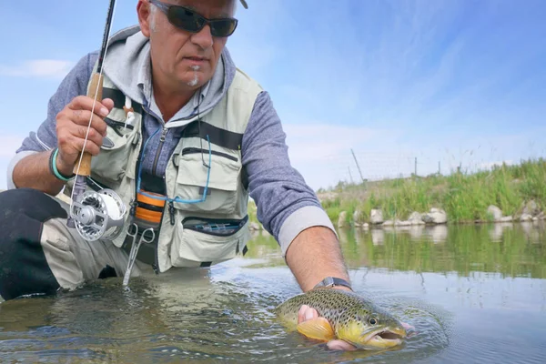 Sinek balıkçı kahverengi alabalık yakalama