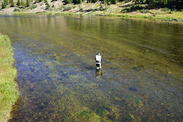 Sinek balıkçı Madison nehirde balık tutma — Stok fotoğraf