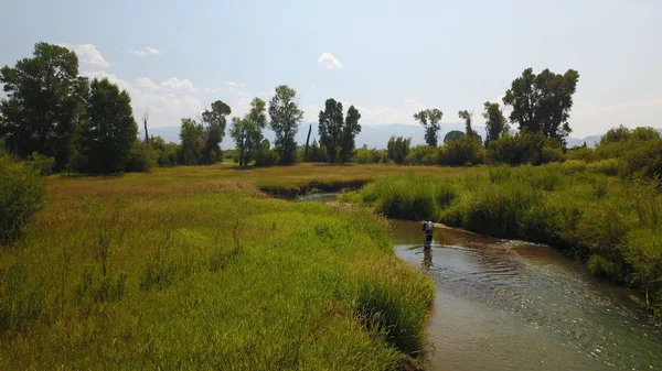 balıkçı balıkçılık fly 