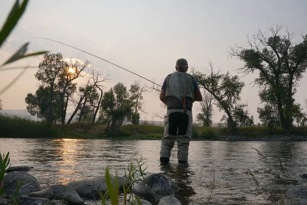 Pesca Pesca con mosca —  Fotos de Stock