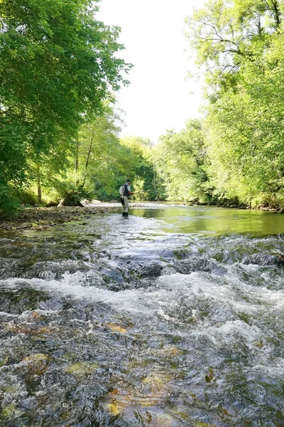 balıkçı balıkçılık fly 