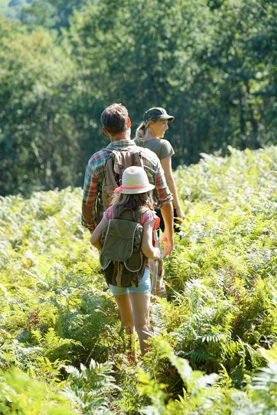 Família caminhando na trilha florestal — Fotografia de Stock