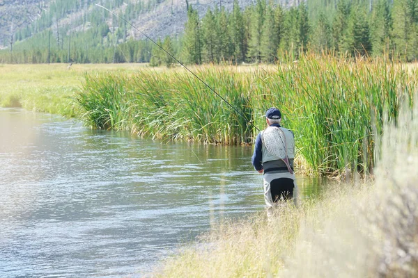 Pesca com mosca no rio Madison — Fotografia de Stock